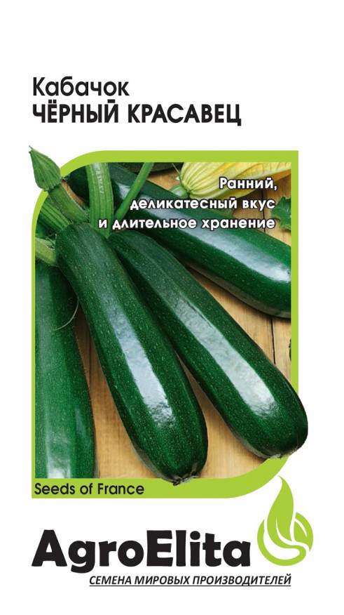 

Семена. Кабачок "Черный красавец", раннеспелый (вес: 1,0 г)
