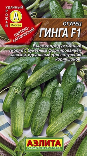 

Семена огурец Аэлита Гинга F1 1 уп.