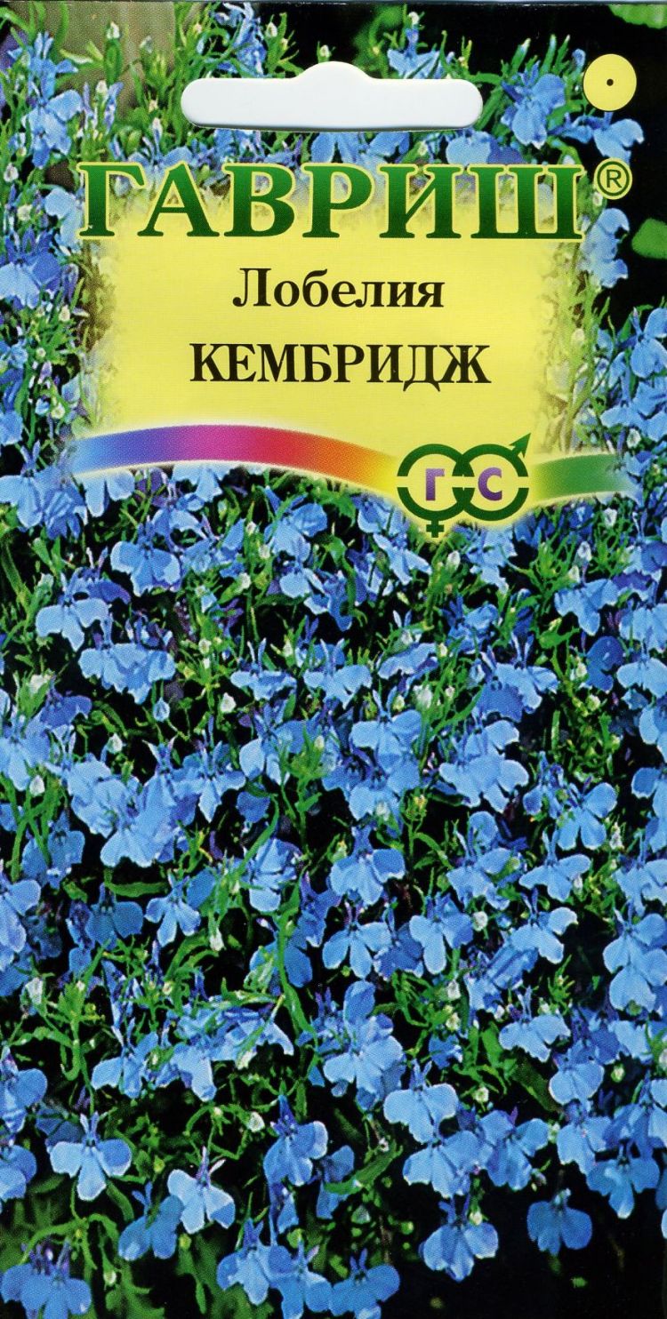 

Семена лобелия Гавриш Кембридж 1 уп.
