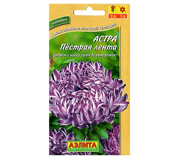 

Семена цветов астра Аэлита Пестрая лента 0,1 г 1 уп.