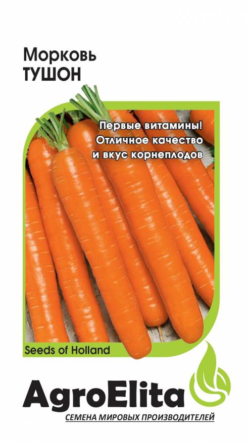 

Семена. Морковь "Тушон" (вес: 1,0 г)