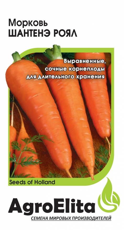 

Семена. Морковь "Шантенэ Роял" (вес: 1,0 г)