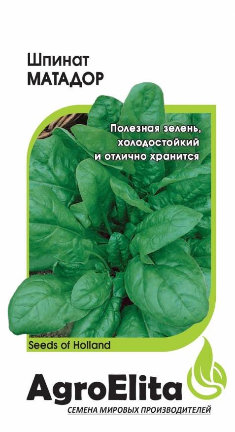 

Семена. Шпинат "Матадор" (вес: 1,0 г)