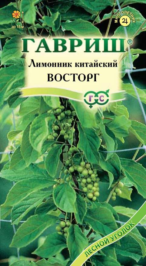 

Семена. Лимонник китайский "Восторг" (вес: 0,2 г)