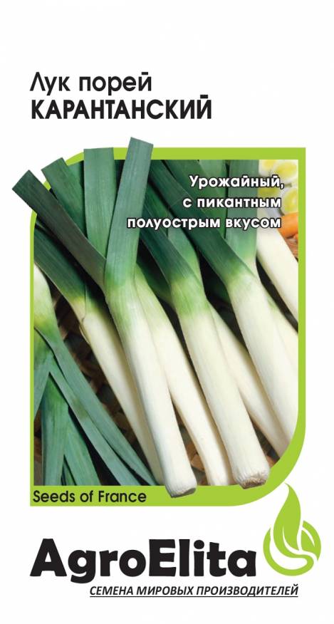 

Семена. Лук порей "Карантанский" (вес: 0,5 г)