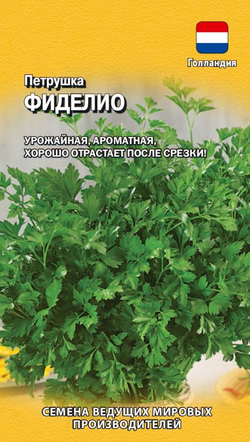 

Семена. Петрушка листовая "Фиделио", Голландия (вес: 0,5 г)