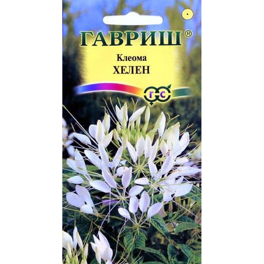 

Семена. Клеома "Хелен" (вес: 0,3 г)