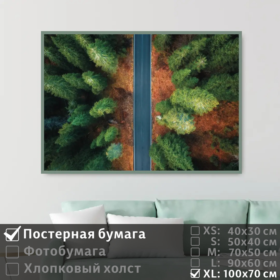 

Постер на стену ПолиЦентр Над шоссе через леса 100х70 см, НадШоссеЧерезЛеса1