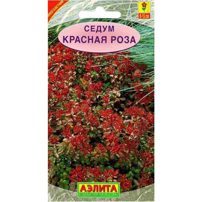

Семена. Седум "Красная роза", многолетний (вес: 0,02 г)