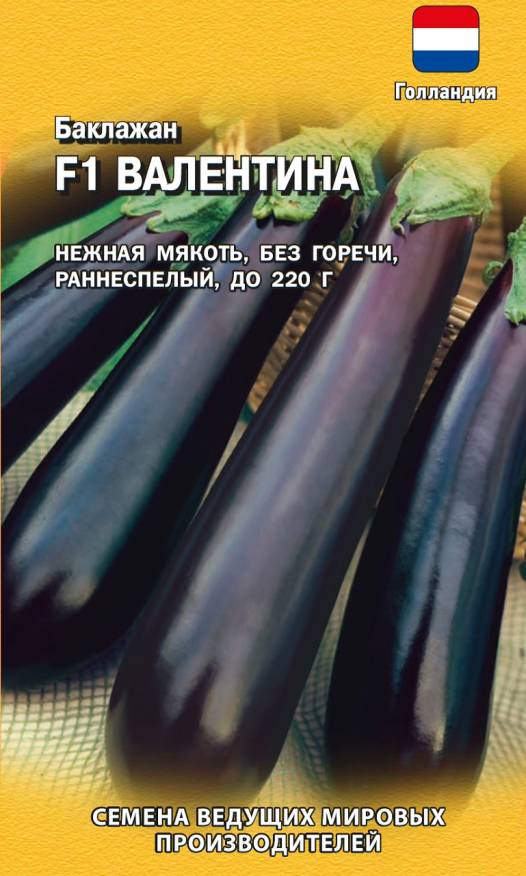 

Семена. Баклажан "Валентина F1", раннеспелый, Голландия (5 штук)