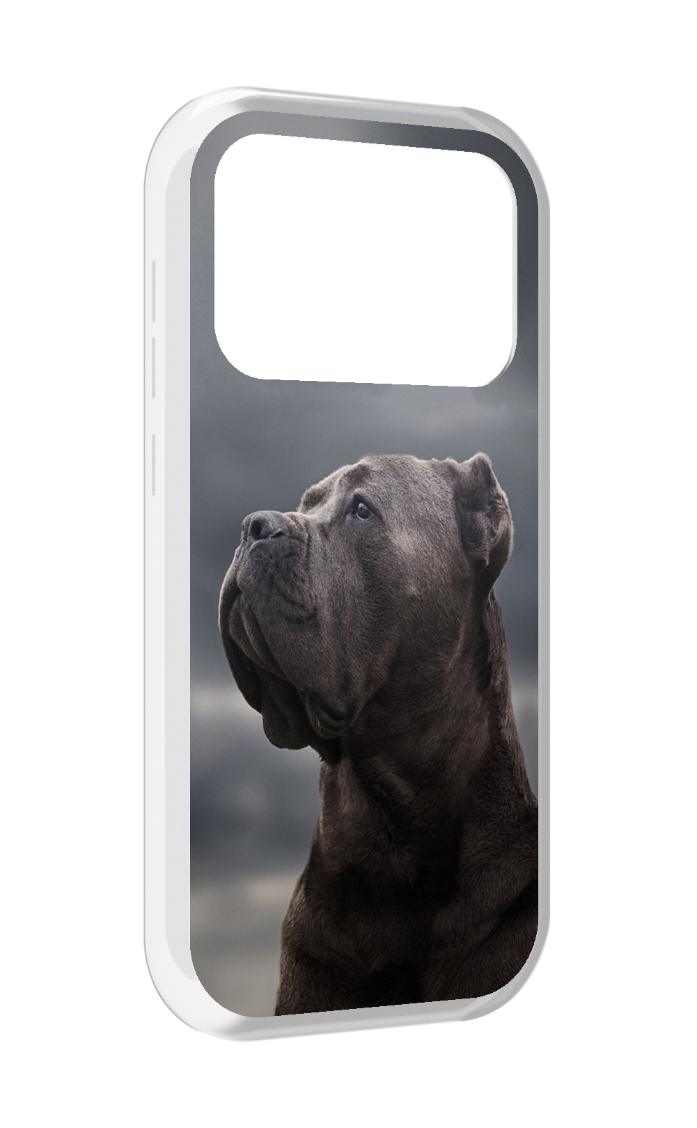 

Чехол MyPads кане корсо для Oukitel F150 Air1 Pro / F150 Air1, Прозрачный, Tocco