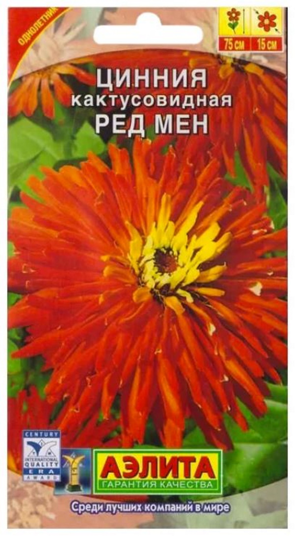 

Семена. Цинния кактусовидная "Ред мен", однолетник (вес: 0,3 г)