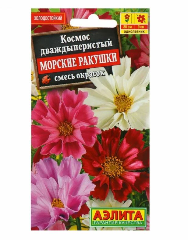 

Семена. Космос "Морские ракушки"