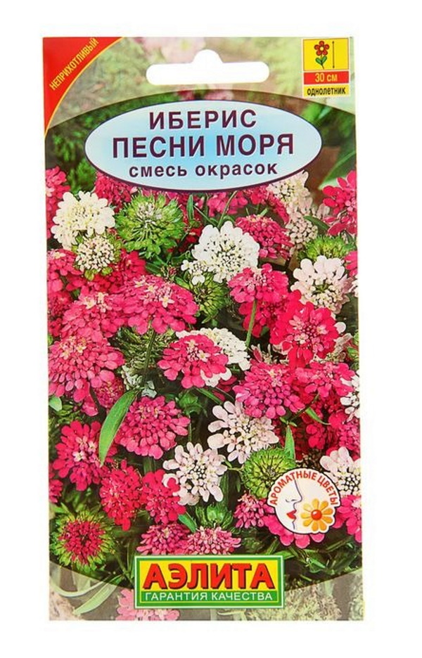 

Семена. Иберис "Песни моря" однолетний