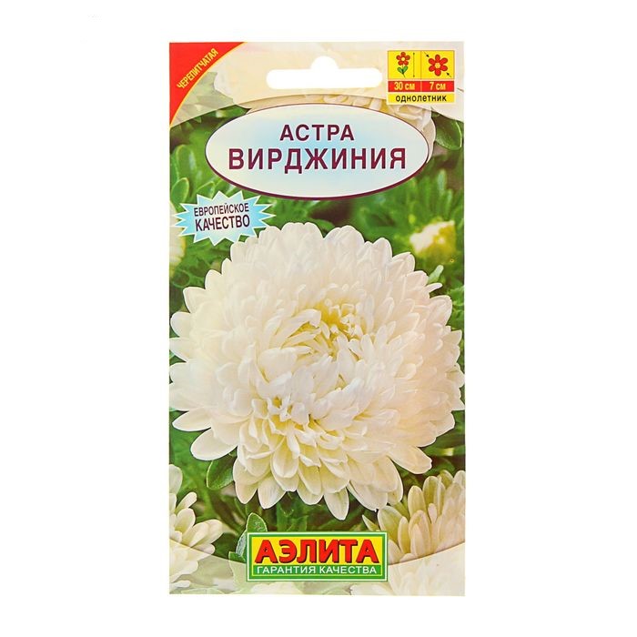 

Семена. Астра "Вирджиния", однолетник (вес: 0,2 г)