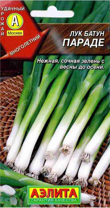 

Семена. Лук батун "Параде" (вес: 0,2 г)