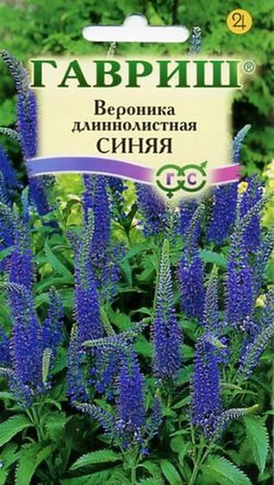 

Семена. Вероника длиннолистная, синяя (вес: 0,05 г)