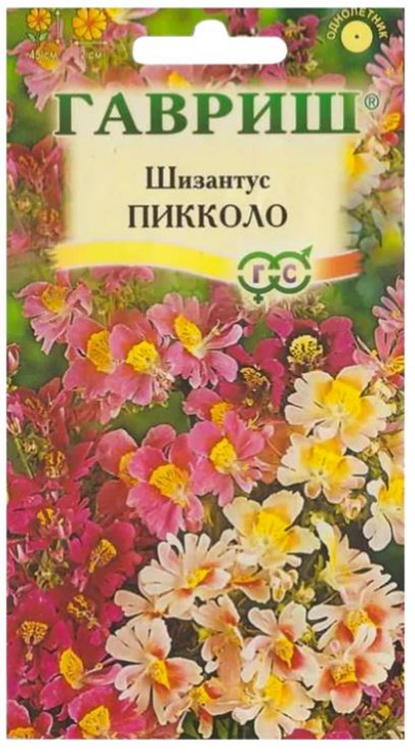 

Семена. Шизантус перистый "Пикколо" (вес: 0,05 г)