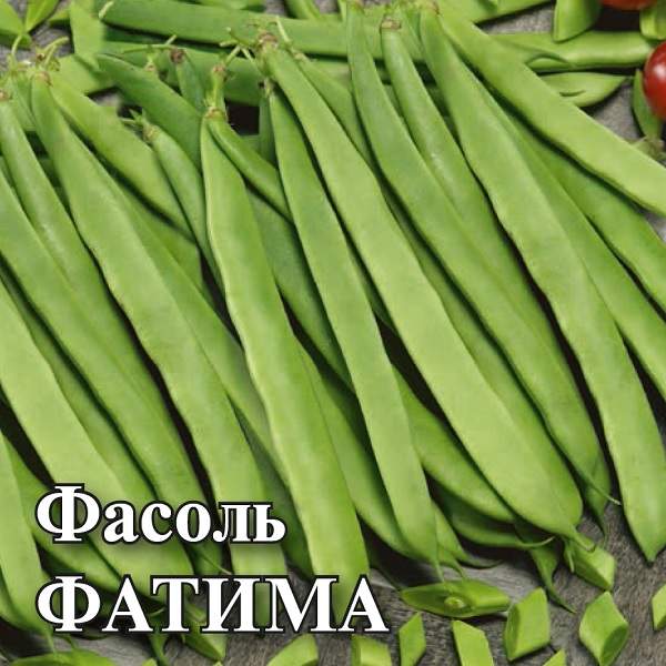 

Семена. Фасоль "Фатима" (вес: 25,0 г)
