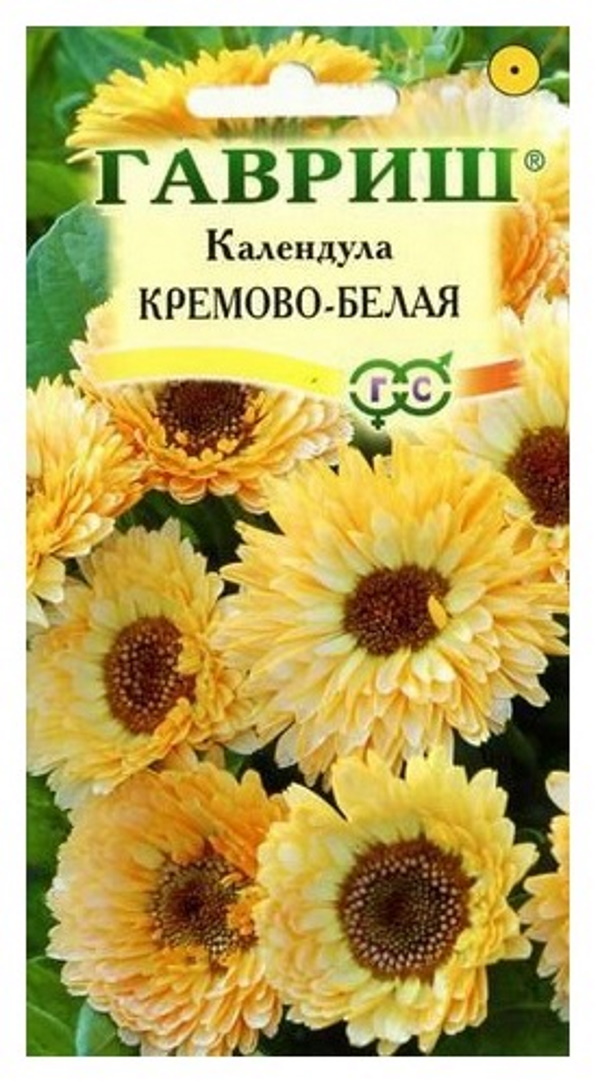 

Семена. Календула "Кремово-белая" (вес: 0,3 г)