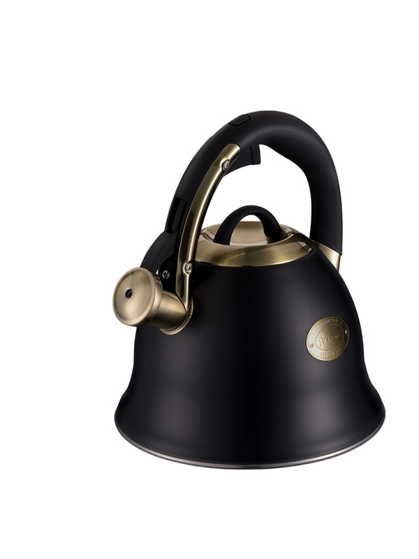 

Чайник со свистком нержавеющая сталь Regent Inox 2,6л 93-TEA-38, Черный