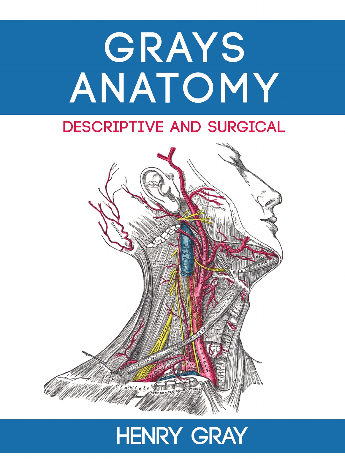 

Gray's Anatomy: Descriptive and Surgical