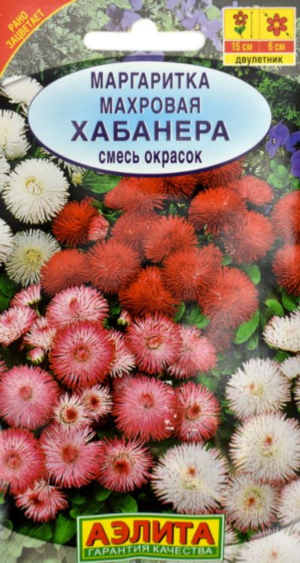 

Семена цветов маргаритка Аэлита Хабанера 0,1 г 1 уп.