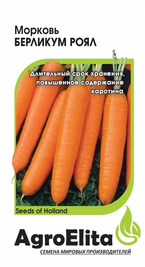 

Семена. Морковь "Берликум Роял" (вес: 1,0 г)