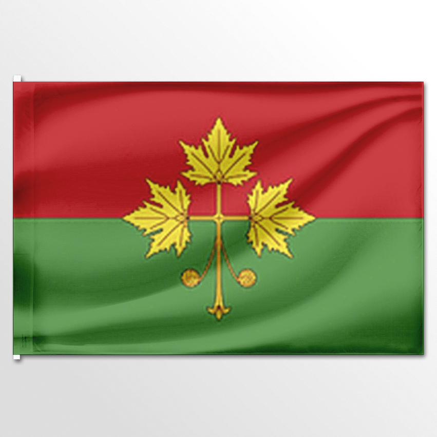 

Флаг ЦТП ФЕНИКС Терновского муниципального округа 135x90 см, 6900-135x90