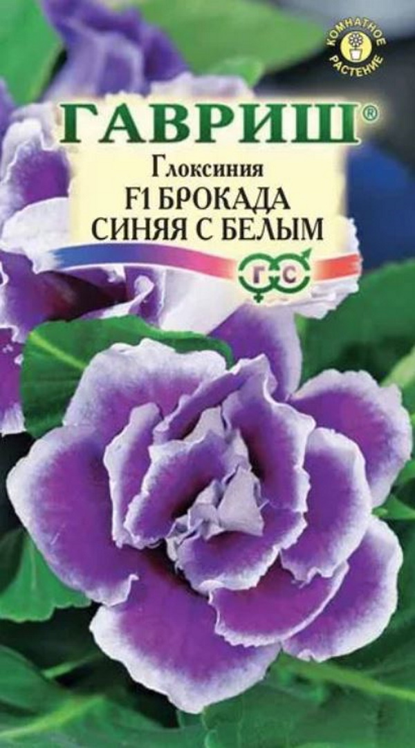 

Семена. Глоксиния "Брокада синяя с белым F1", Саката (гранулированные, 5 штук в пробирке)