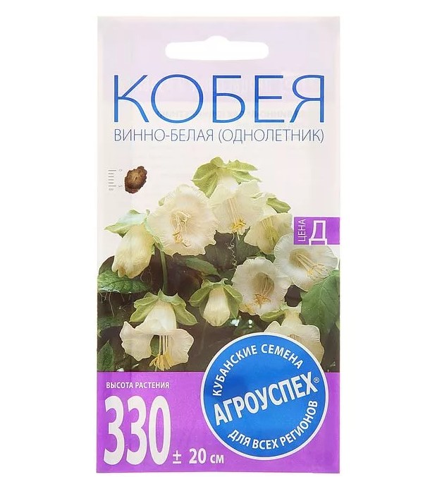 

Семена цветов кобея Винно-белая 4шт Агроуспех (10 шт.)