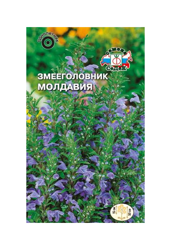Семена змееголовник Молдавия Седек Однолетние 65298 1 упаковка