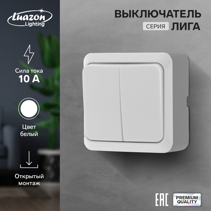 Выключатель Luazon Lighting Лига, 10 А, 2 клавиши, накладной, белый luazon для iphone 12 pro max поддержка magsafe с окантовкой пластиковый розовый