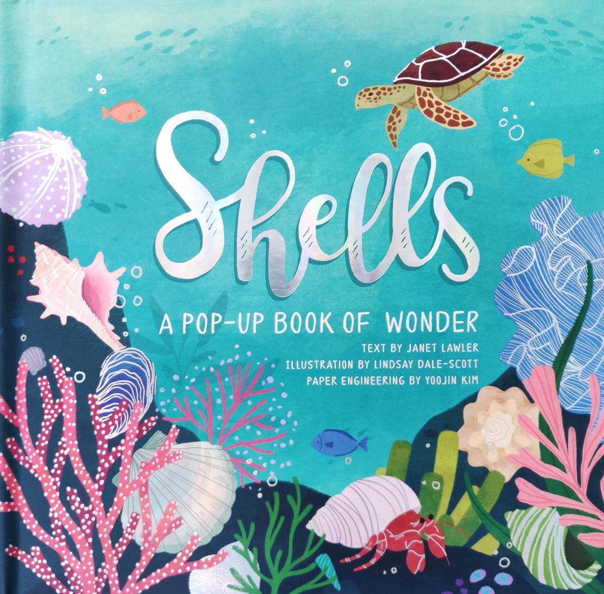 

Ракушки. Книга-панорама - Shells. Pop-Up book