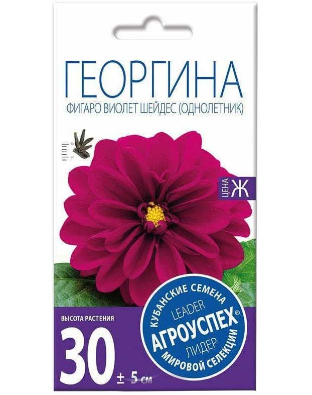 

Семена цветов георгина Фигаро Виолет Шейдес 12шт Агроуспех (10 шт.)