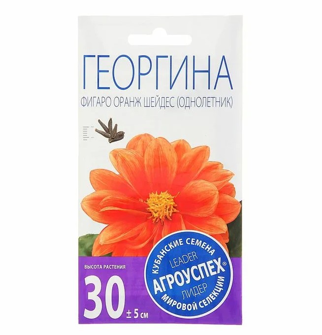 

Семена цветов георгина Фигаро Оранж Шейдес 7шт Агроуспех (10 шт.)