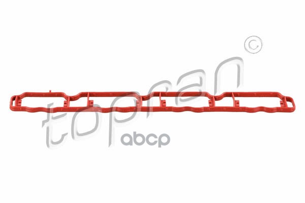 Прокладка Впускного Коллектора (Замена Для Hp-113161755) topran арт. 113161001