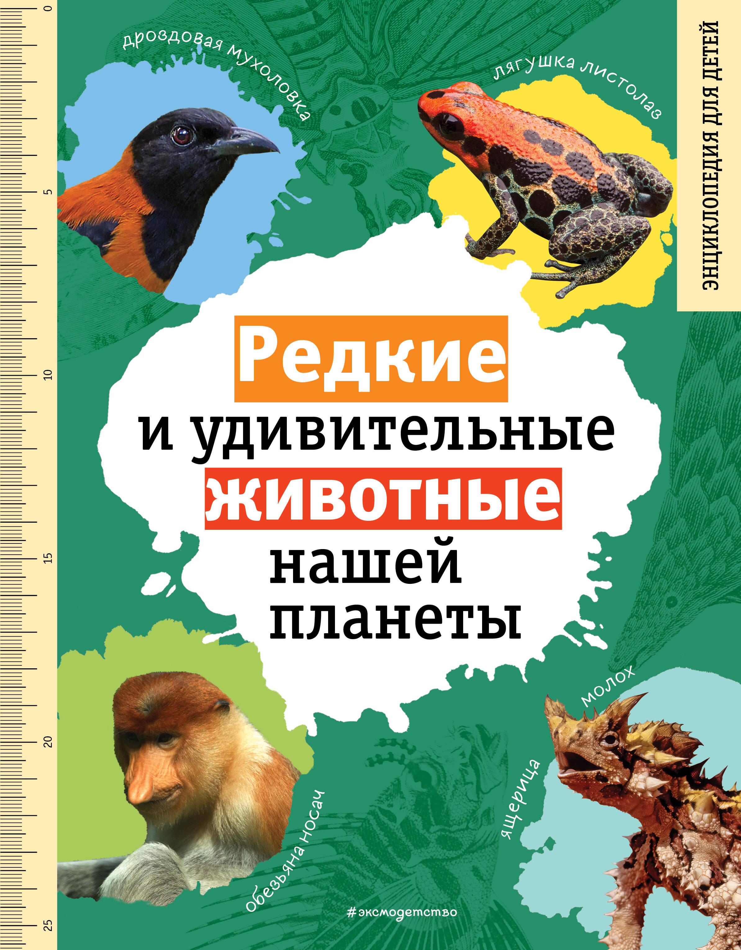 

Редкие и удивительные животные нашей планеты