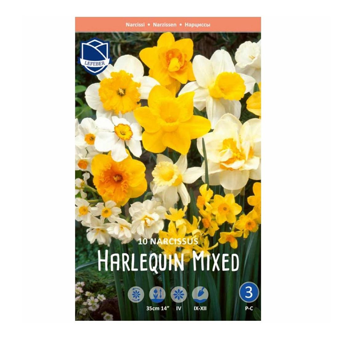 Луковицы нарцисс Harlequin Mixed Lefeber 10 шт.