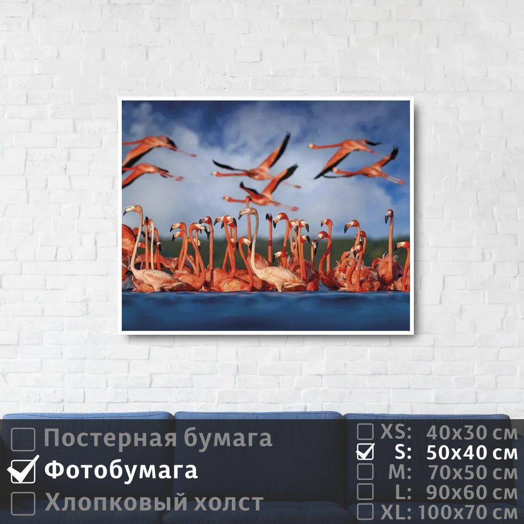 

Постер на фотобумаге ПолиЦентр Стая розовых фламинго у берега 50х40 см, СтаяРозовыхФламингоУБерега