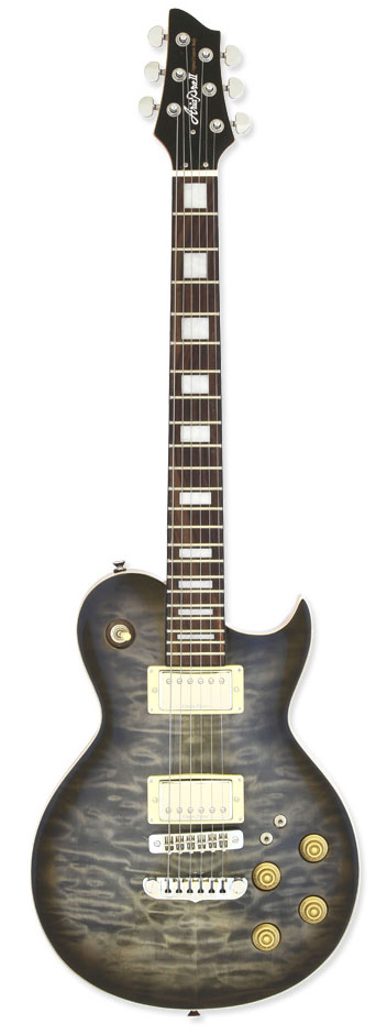 

Электрогитара ARIA PE-480 SBKB