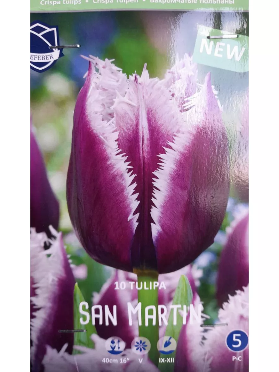 

Луковицы тюльпан San Martin Lefeber 10 шт.
