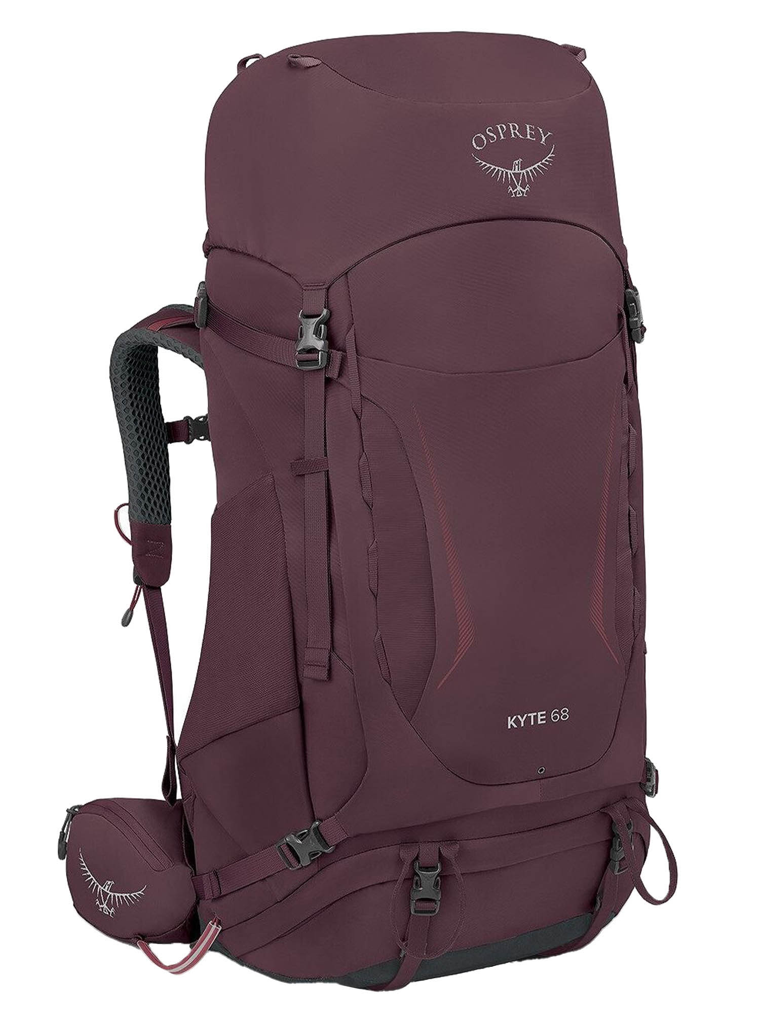 

Рюкзак Osprey Kyte 68 Wxs/S Purple (Us:wxs/S) 2024, Фиолетовый, Kyte 68