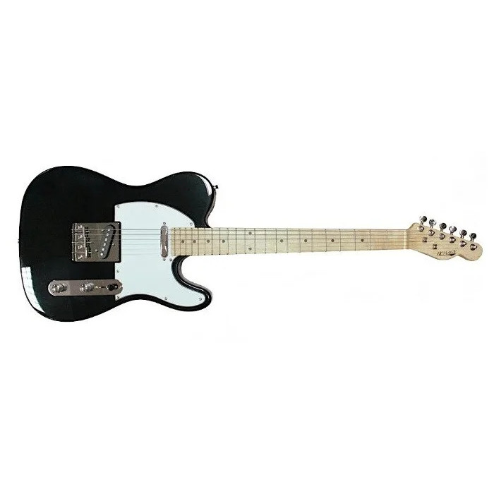 

Электрогитара Homage Telecaster SS HEG350BK