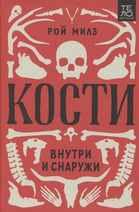 

Кости: внутри и снаружи