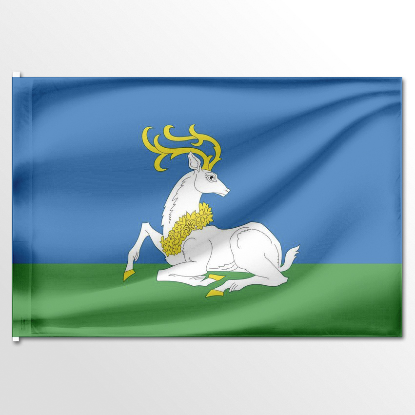 

Флаг ЦТП ФЕНИКС Одинцовского района 135x90 см, 1742-135x90
