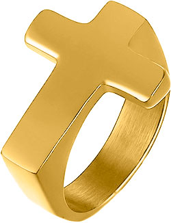 Кольцо из стали р 205 DG Jewelry AB2020-G 1100₽