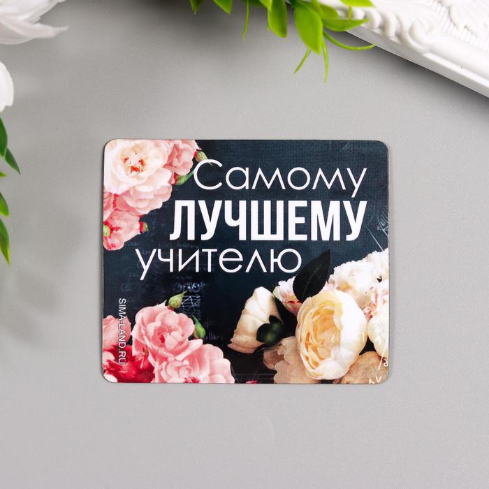 

Магнит винил Учитель 7х6 см (10 шт)
