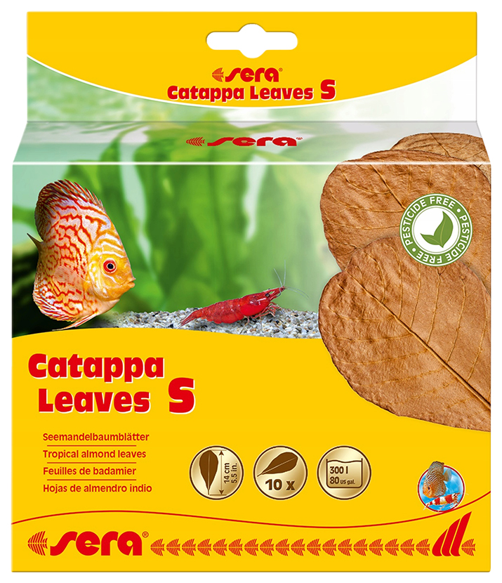 Листья индийского миндаля Sera Catappa Leaves, S, 14 см