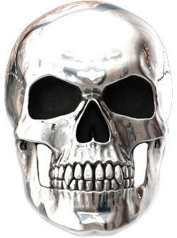 Перстень из стали р 22 DG Jewelry DG-R117-E 1020₽